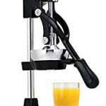 Jupiter Large Commercial Juice Press